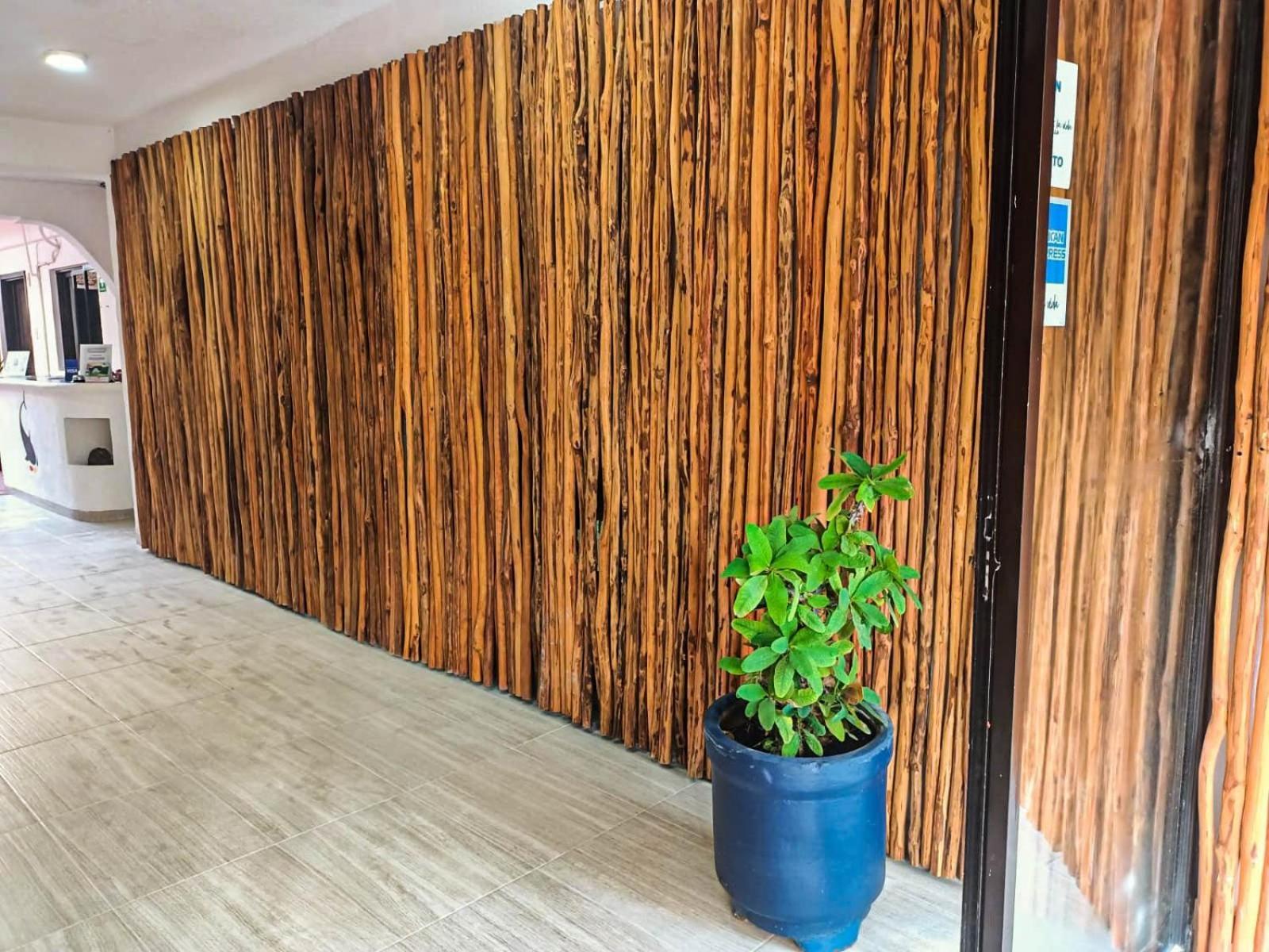 Hotel Masam Исла-Мухерес Экстерьер фото